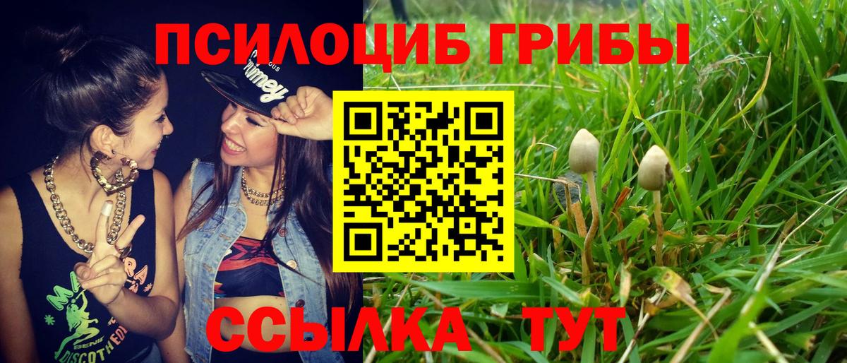 где найти наркотики  Вход с VPN  Тулун  Галлюциногенные грибы ЛСД 