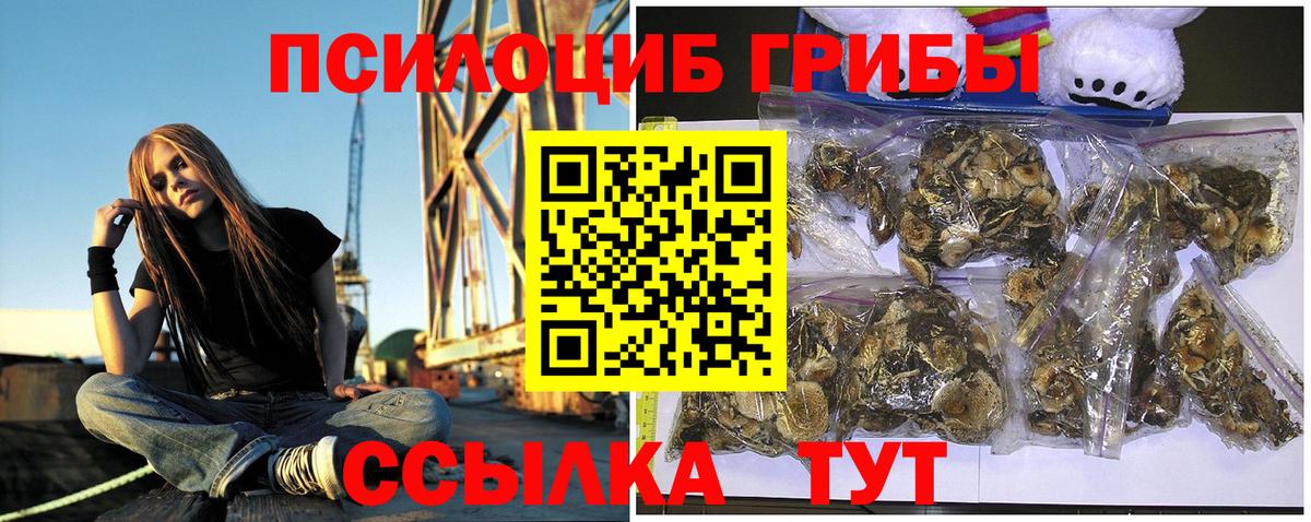 Галлюциногенные грибы Magic Shrooms Тулун